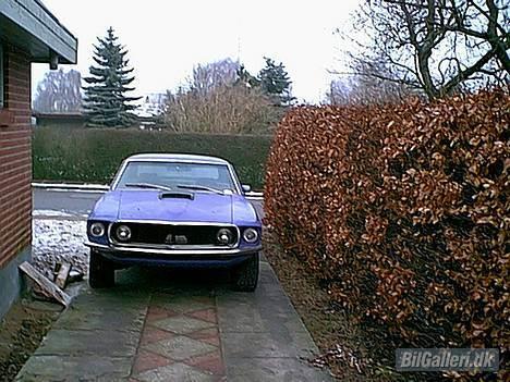 Amerikaner Ford Mustang GT HT billede 2