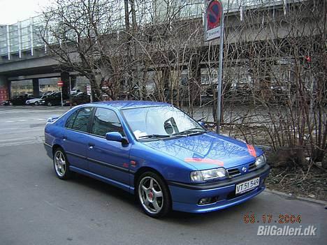 Nissan Primera SRI - Tjaa. Fælge pynter altid :-) billede 5