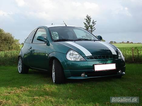 Ford Ka Kult - Her med nye forlygter og Suhe grill billede 1