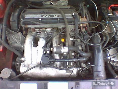 Peugeot 405 MI16 *RIP* - en lille sød 16V´er billede 6