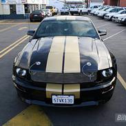 Shelby Mustang  GT-H