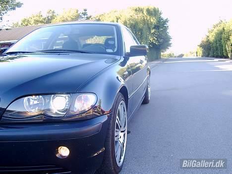 BMW e46 billede 2