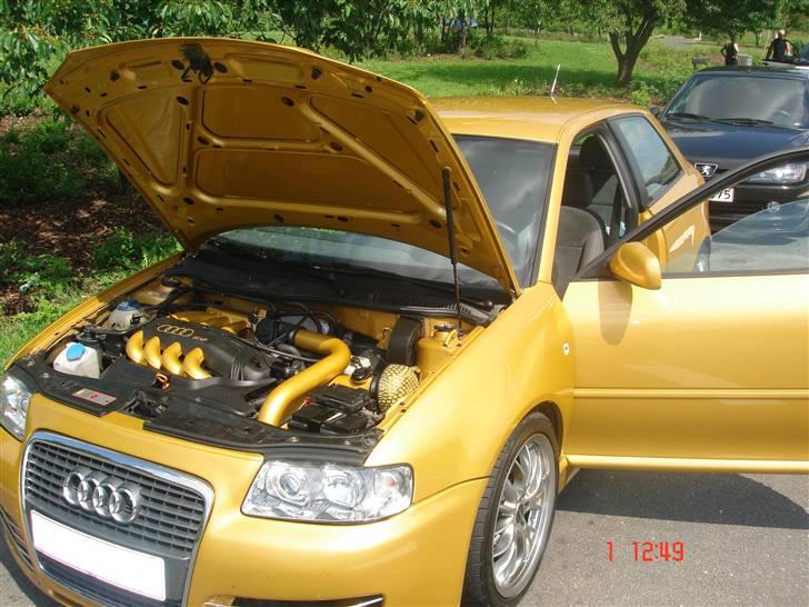 Audi A3 ROTREX SOLGT billede 7