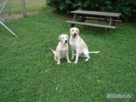 BMW 320i SOLGT - drengene :) billede 3