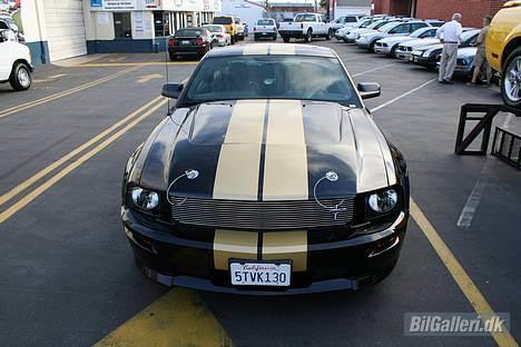Shelby Mustang  GT-H - Da jeg hentede den hos forhandleren. billede 1