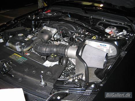 Shelby Mustang  GT-H billede 2