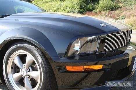 Shelby Mustang  GT-H billede 3