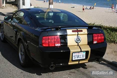 Shelby Mustang  GT-H billede 5