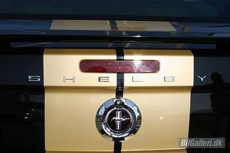 Shelby Mustang  GT-H billede 6