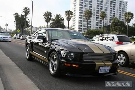 Shelby Mustang  GT-H billede 7