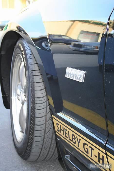 Shelby Mustang  GT-H billede 8