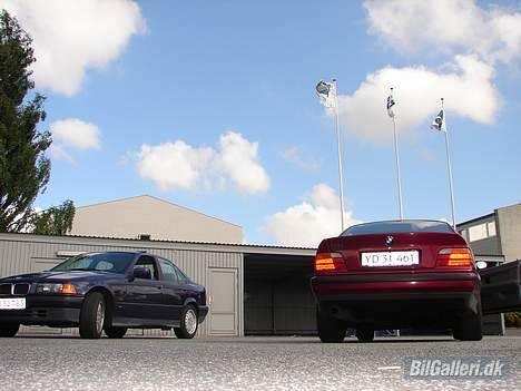 BMW 318i Bavaria *Solgt* - Her sammen med min kammerat´s skæve coupe... kun en pæn ting at sige om den, den matcher hans hårfarve :) billede 4