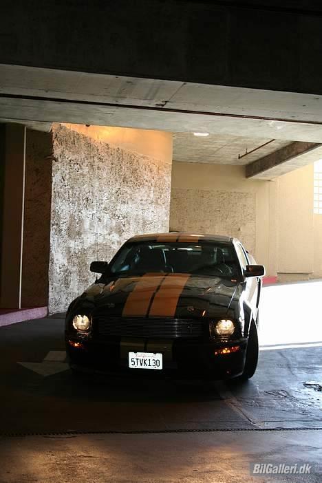Shelby Mustang  GT-H - På vej ned i garagen. billede 15