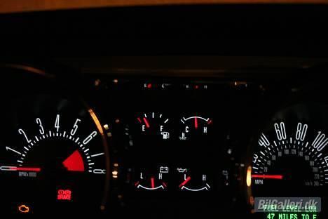 Shelby Mustang  GT-H billede 16