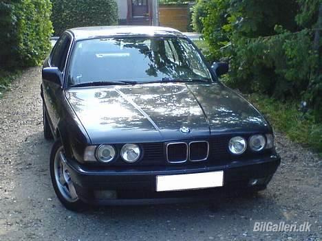 BMW 520i billede 6