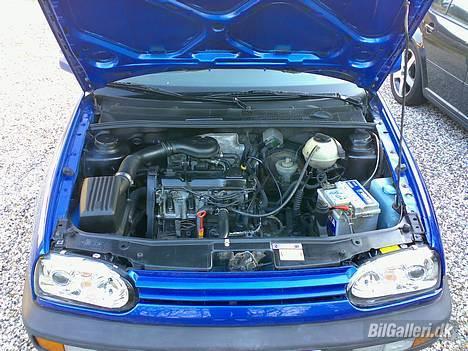 VW Golf 3 GT - motoren, det er svært at se den lige har rundet 223.000 km, og det kan heller ikke mærkes billede 3