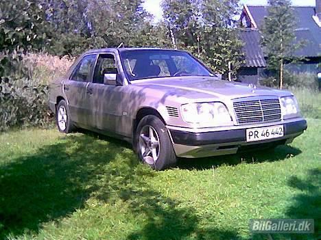 Mercedes Benz FLYDEREN - 080806, i sommerhuset på Rømø billede 14