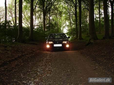 Nissan Almera SRX SOLGT - Der er gult lys i kørelyset billede 6