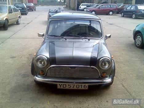 Austin-Morris mini 1100 specsiel billede 7