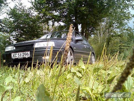 Opel Vectra 2000 4x4 **SOLGT** billede 1