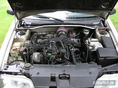 Citroën ZX aura #DØD# - Motoren med KN-filter billede 5