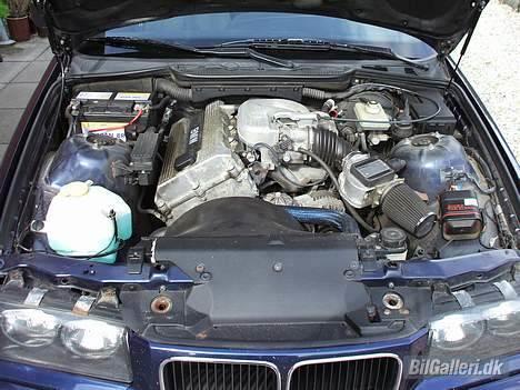 BMW e36 316i/318is *solgt* billede 9