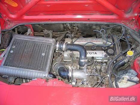 Toyota MR2 1,6 16V 4agze - det skal oplaves... supercharter kompresser motor... så fed at kører med... kørte fra Mange biler med flere hk end min... billede 8