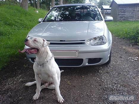 VW Golf IV *SOLGT* billede 4