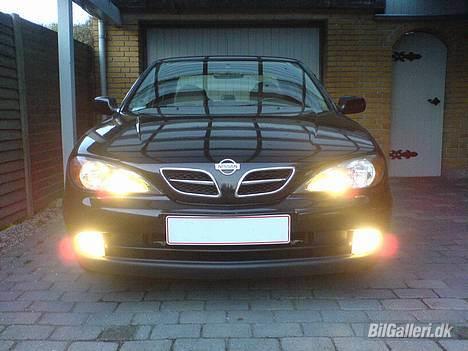 Nissan Primera Comfort billede 2