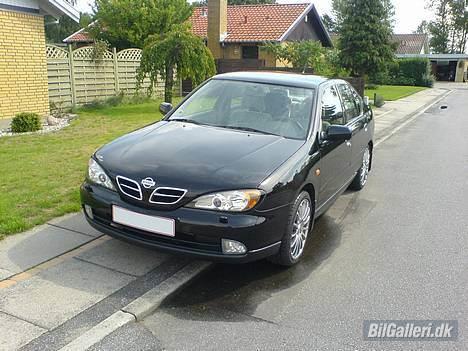 Nissan Primera Comfort - Neeeej.... Den er ikke utæt. Det er bare en vandpyt! billede 3