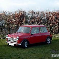 Austin-Morris Mascot