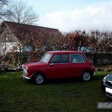 Austin-Morris Mascot