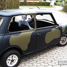 Mini Mascot Speciel 1100