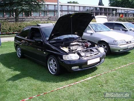 Ford Escort 1,8i  Monaco Solgt - Ford Træf Ringe 2006 billede 17