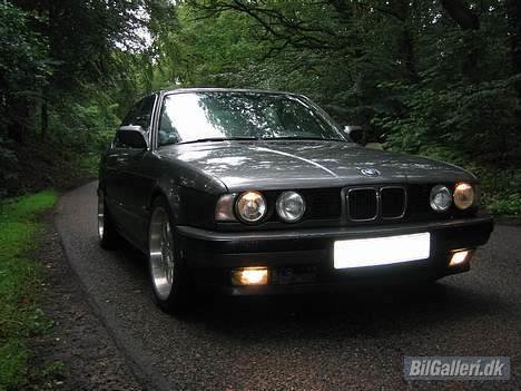BMW 525I Solgt! - En lille tur i skoven... :) billede 1