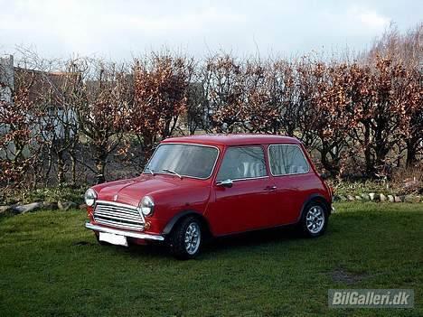 Austin-Morris Mascot billede 1