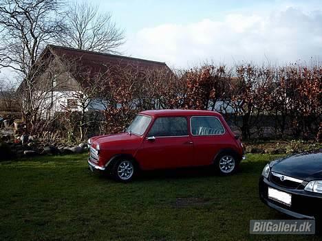 Austin-Morris Mascot billede 2