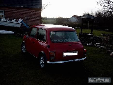 Austin-Morris Mascot billede 3