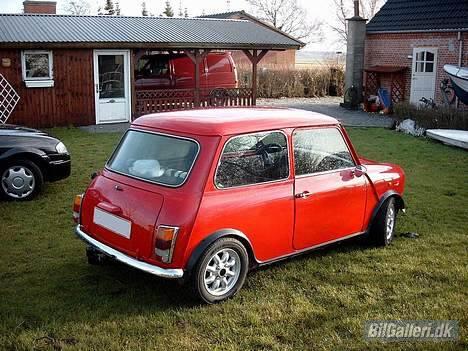 Austin-Morris Mascot billede 4