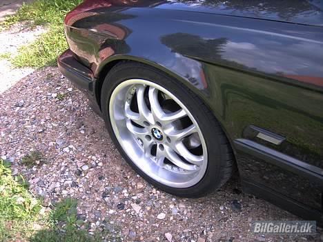 BMW 525i 24v billede 12