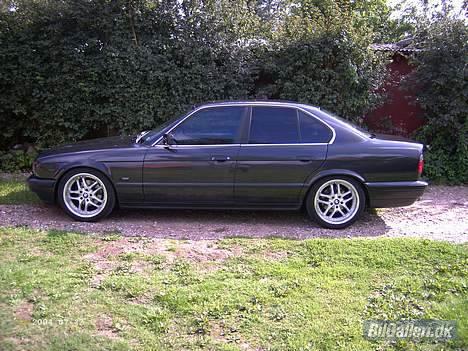 BMW 525i 24v billede 15