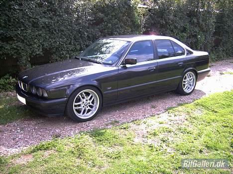 BMW 525i 24v billede 16