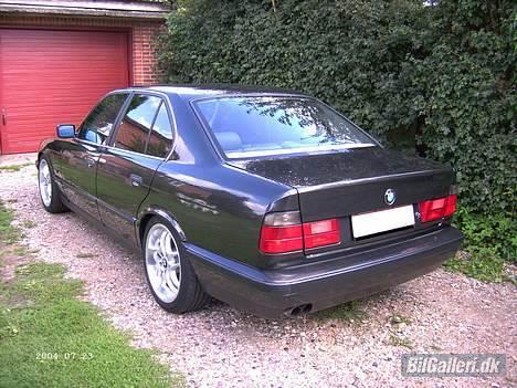 BMW 525i 24v billede 17