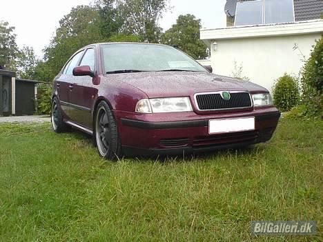 Skoda Octavia 1.9 TDI 110 SLX billede 1
