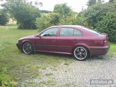 Skoda Octavia 1.9 TDI 110 SLX billede 2