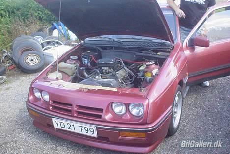 Ford Sierra 2,3 V6 **SOLGT** - Ja sådan ser en V6´er ud, med K&N filter billede 13