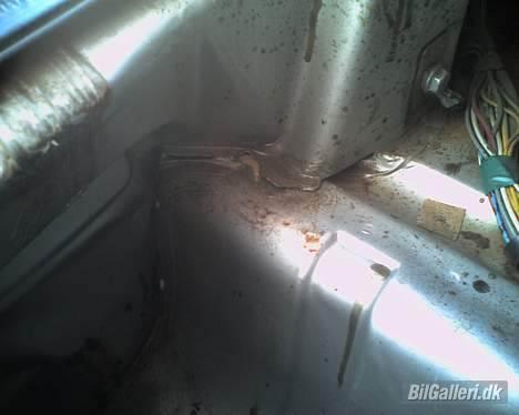 Fiat Tipo R.I.P billede 12