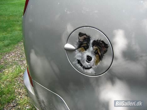 Ford Focus C-Max Ghia - vores hund Minnie malet påtank dækslet. billede 15