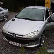 Peugeot 206 (SOLGT)