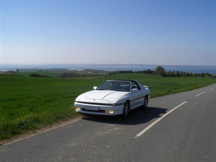 Toyota Supra 3,0i Turbo "SOLGT" billede 1